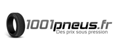 LOGO-1001-PNEUS